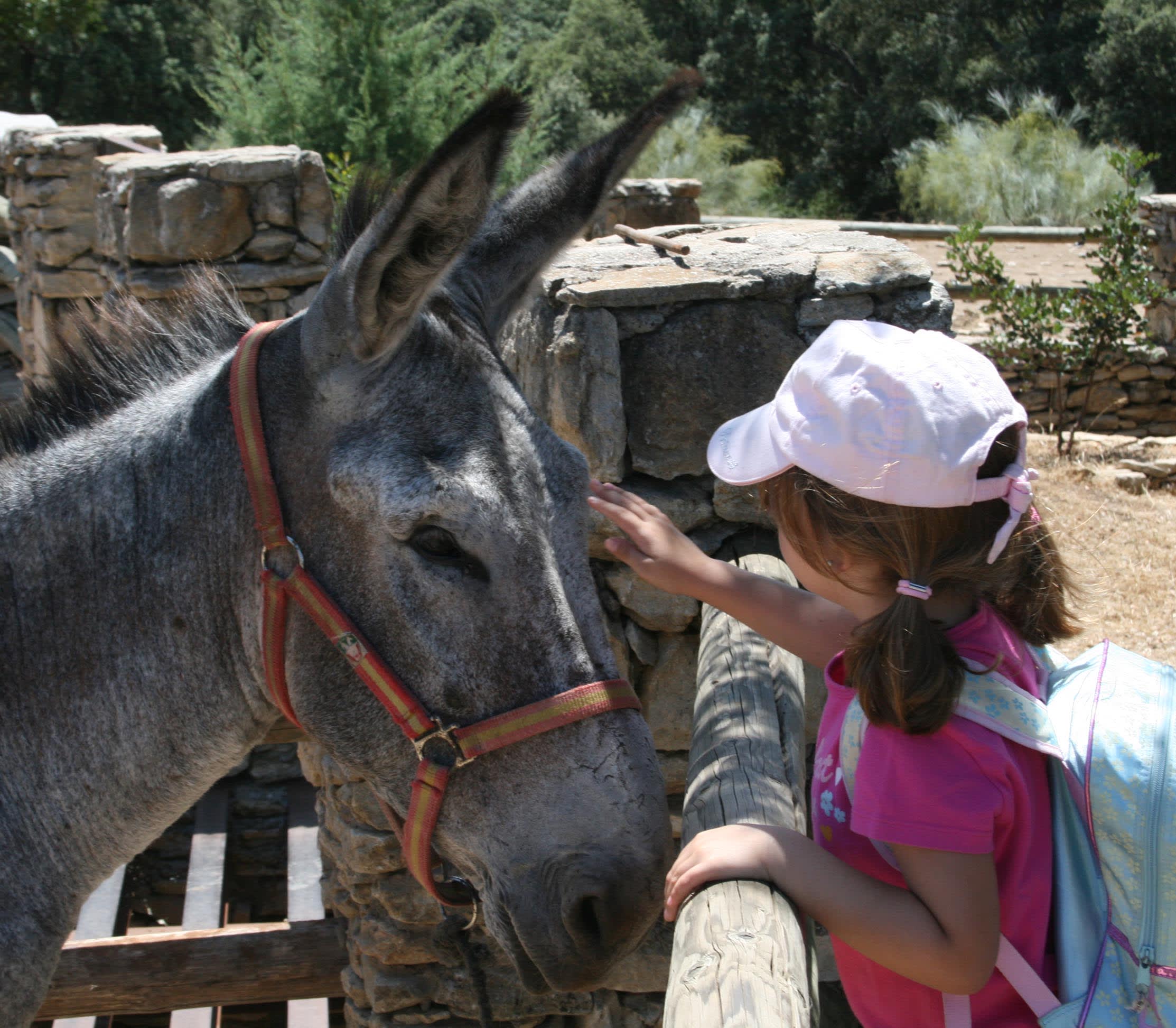 Ecomuseo Prehistoria - Finca la Algaba